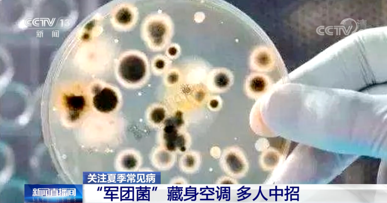 dea1a31887f7918601e9573f87c549b6.png